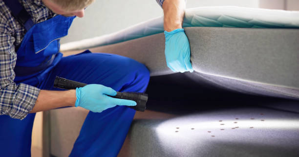 Best Cockroach Control Services  in Greilickville, MI